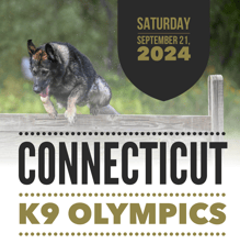 k9 olympics-1